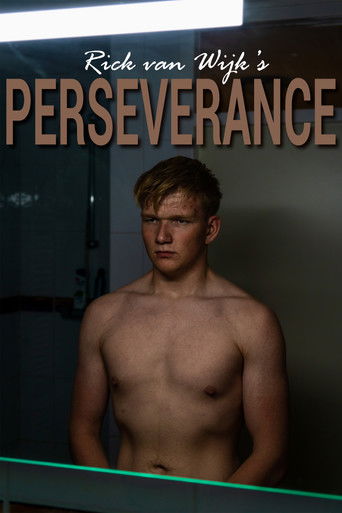 Perseverance poster