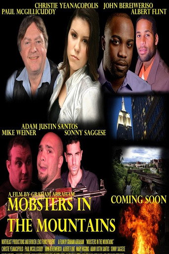 Movie poster for Mobsters in the Mountains (2015)