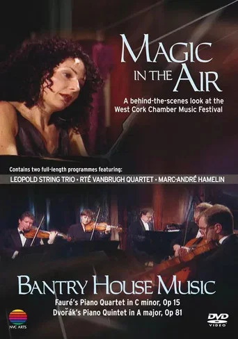 Movie poster for Magic in the air, Bantry House Music (2008)
