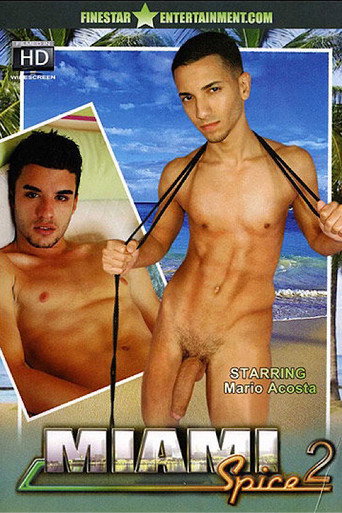 Movie poster for Miami Spice 2 (2008)