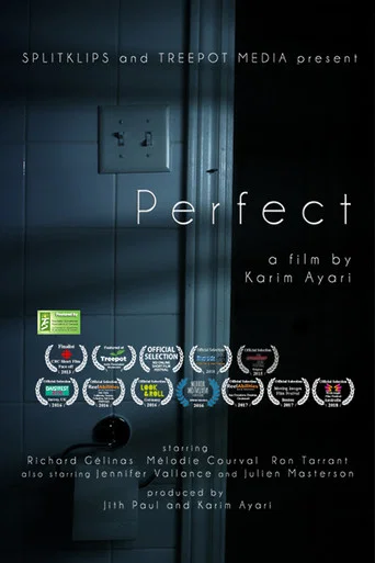 Movie poster for Perfect (2013)