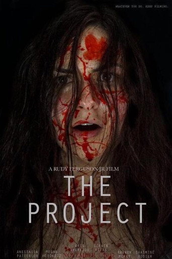 Movie poster for The Project (2017)