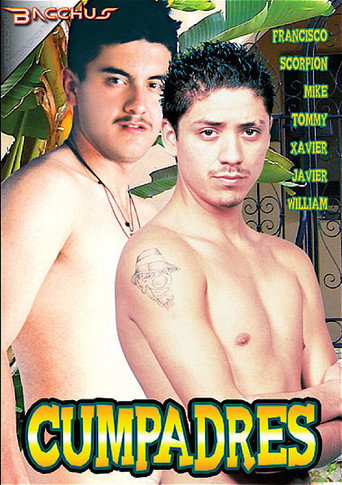Movie poster for Cumpadres (2011)