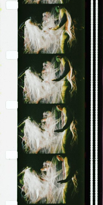 Movie poster for Chrysalis (1973)