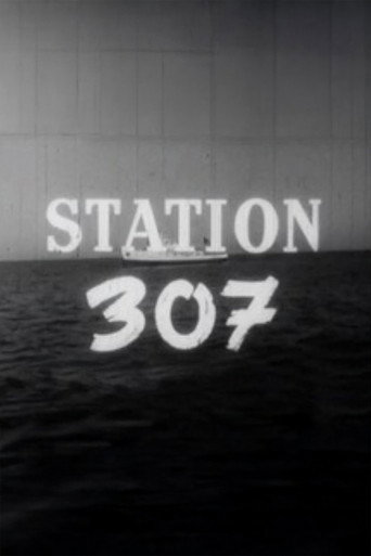 Station 307 poster