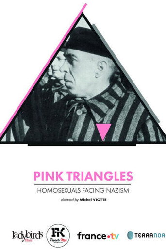 Movie poster for Pink Triangles, Homosexuals Facing Nazism (2024)