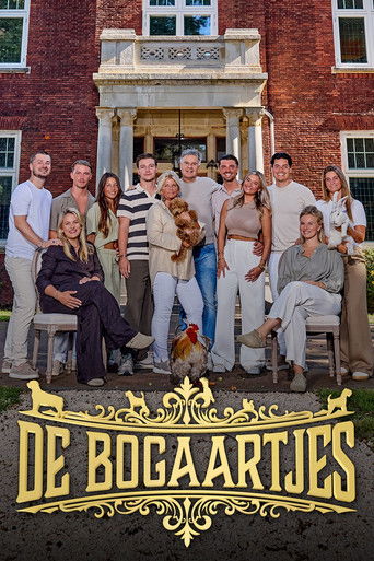 Series poster for De Bogaartjes (2026)