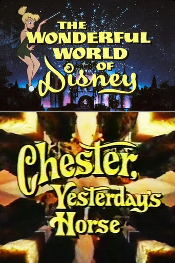 Movie poster for Chester, Yesterday’s Horse (1973)