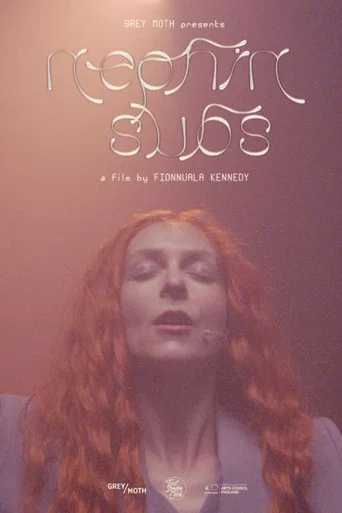 Movie poster for Nephin Subs