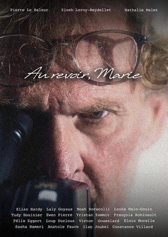Movie poster for Au Revoir, Marie