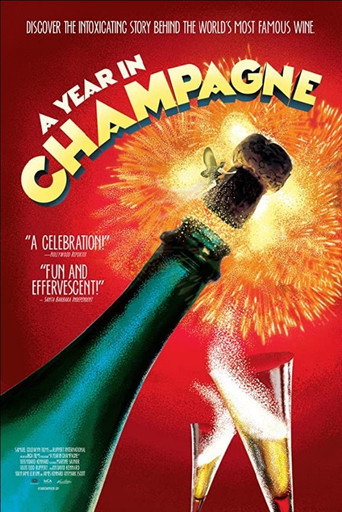Movie poster for A Year in Champagne (2014)