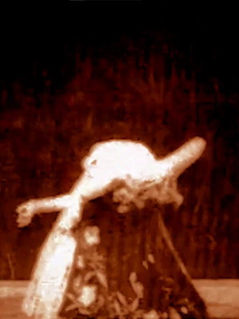 Movie poster for Karina, Specialty Dancer (1898)