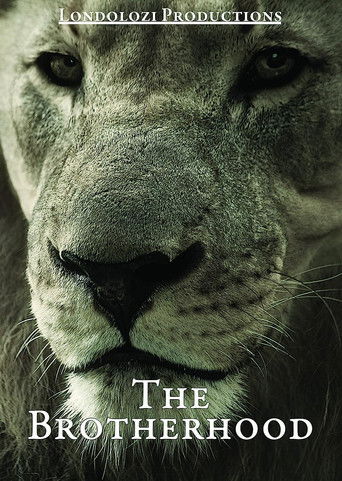 The Brotherhood poster