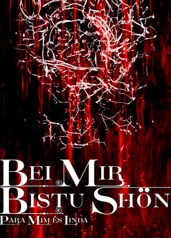 Movie poster for BEI MIR BISTU SHON: PARA MIM ES LINDA (2023)