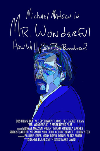 Mr. Wonderful poster