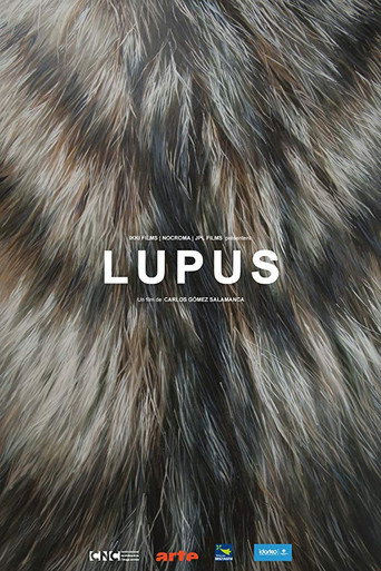 Movie poster for Lupus (2016)