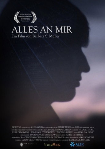 Movie poster for The Mirror (2011)