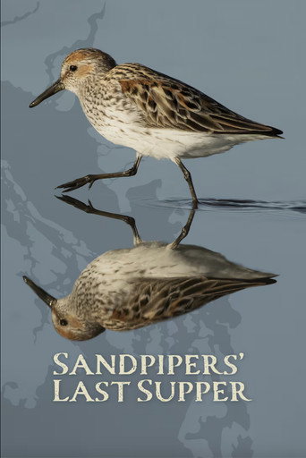 Movie poster for Sandpipers' Last Supper