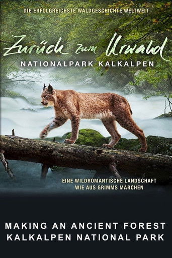 Making An Ancient Forest - Kalkalpen National Park poster