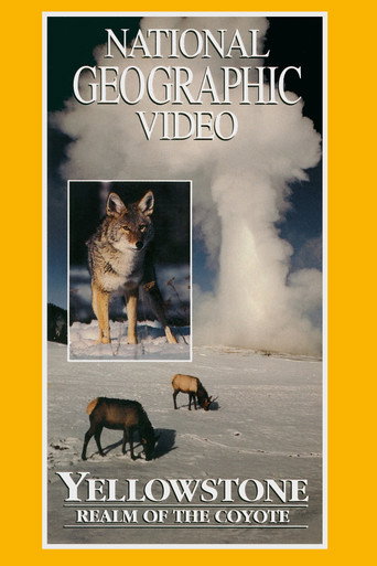 Movie poster for Yellowstone: Realm of the Coyote (1995)