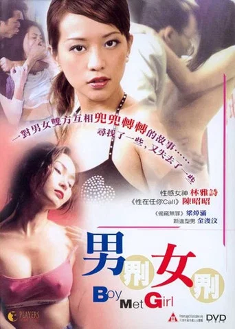 Movie poster for Boy Met Girl (2003)