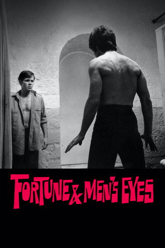 Fortune and Men's Eyes poster