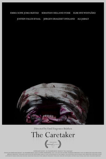 Movie poster for The Caretaker