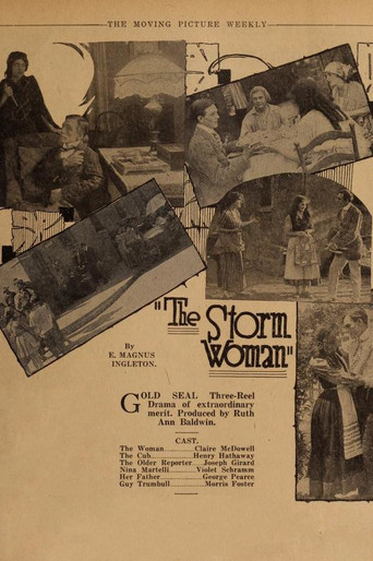 The Storm Woman poster