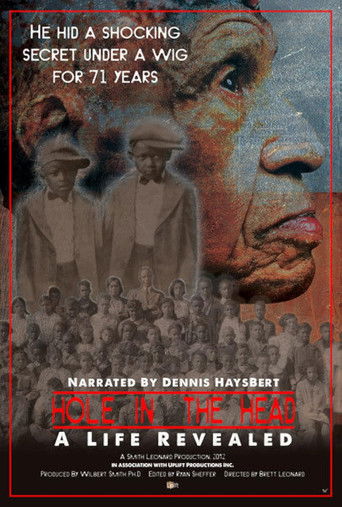 Hole in the Head: A Life Revealed poster