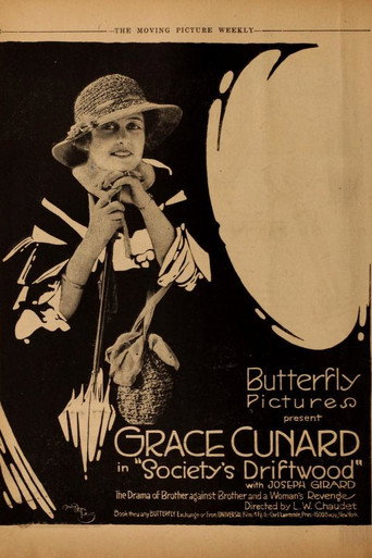 Movie poster for Society's Driftwood (1917)
