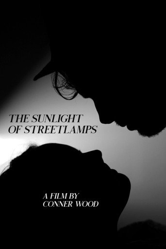 Movie poster for The Sunlight of Streetlamps (2020)