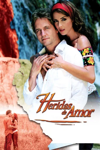 Series poster for Wounds of Love (2006)