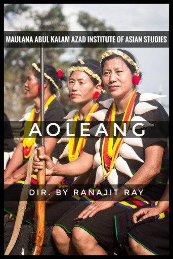 Movie poster for Aoleang (2016)