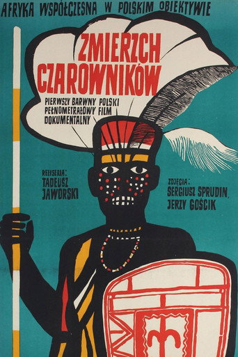 Movie poster for The Twilight of Wizards (1965)