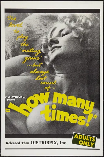 Movie poster for How Many Times (1969)