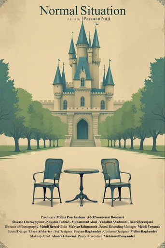 Normal Situation poster
