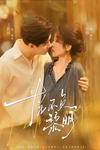 悦不负黎明 poster