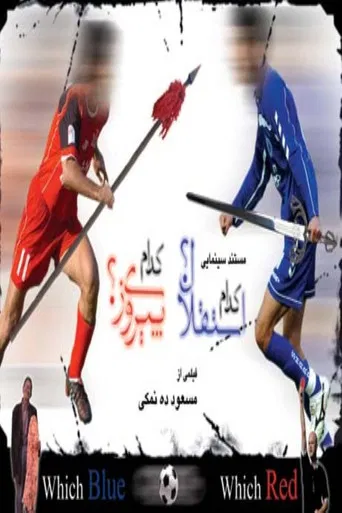 Which Blue, Which Red poster