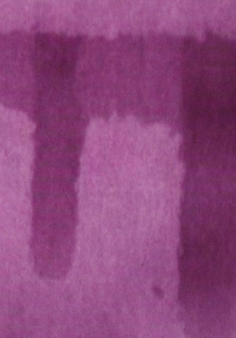 Movie poster for Everything about 8mm Raw Film (2016)