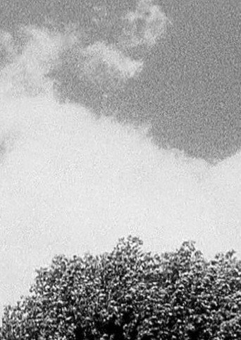 Movie poster for Tree & Cloud (1998)
