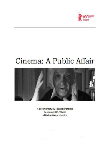 Cinema: A Public Affair poster