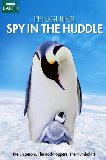 Series poster for Penguins: Spy in the Huddle (2013)