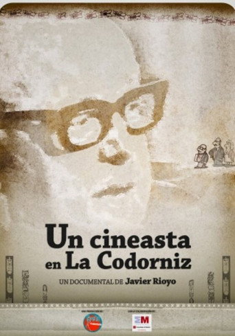 Movie poster for A Filmmaker in La Codorniz (2012)