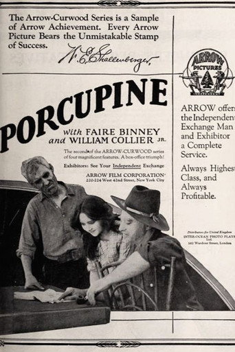 Movie poster for The Girl from Porcupine (1921)