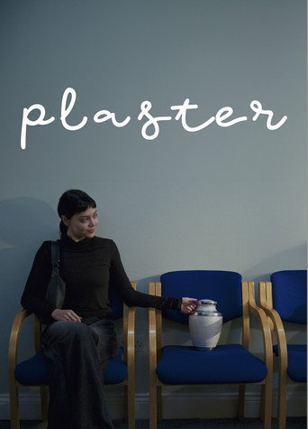 Movie poster for Plaster