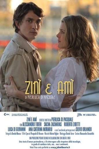Movie poster for Zinì e Amì (2012)