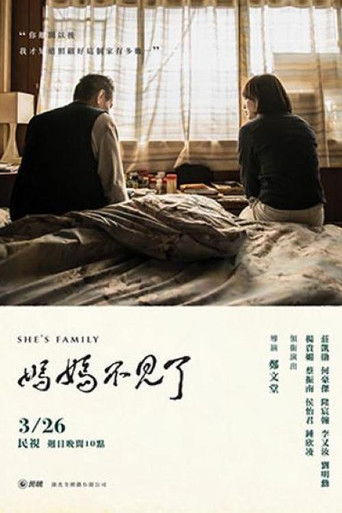 媽媽不見了 poster
