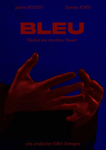 BLEU poster