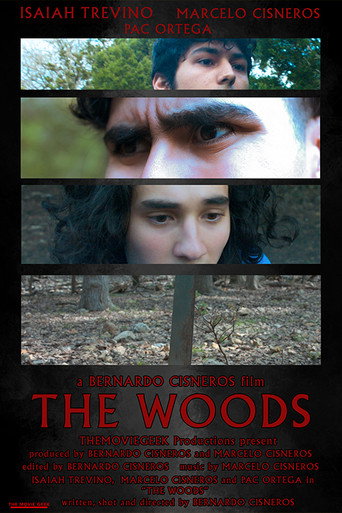 Movie poster for The Woods (2022)