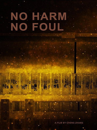 Movie poster for No Harm No Foul (2017)